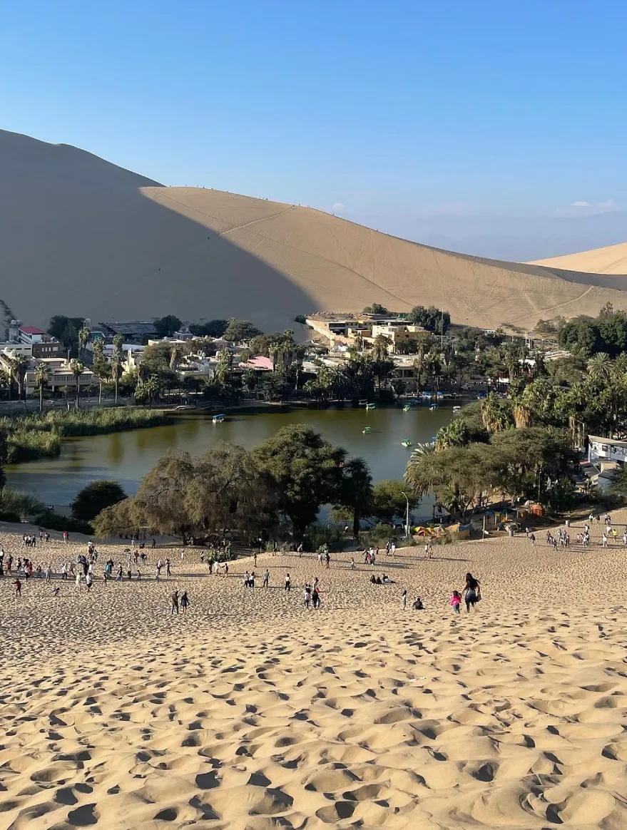 ica paracas (3)